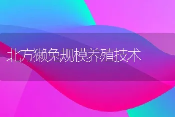 狐狸疥螨的诊断治疗技术