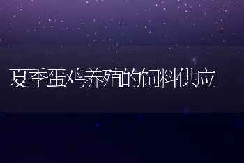 条斑紫菜养殖的几点措施