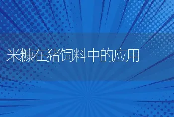 米糠在猪饲料中的应用