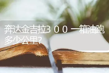 奔达金吉拉300一箱油跑多少公里？