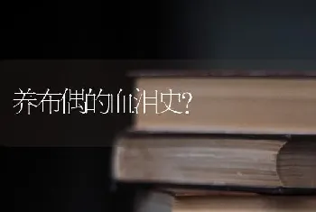 养布偶的血泪史？