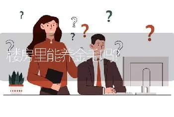 楼房里能养金毛吗？