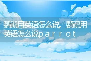 鹦鹉用英语怎么说，鹦鹉用英语怎么说parrot