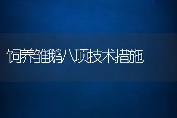 饲养雏鹅八项技术措施