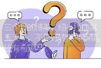 三个月的博美，细小拉血第五天了，不见好转精神萎靡，还有希望吗？