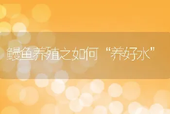 鳗鱼养殖之如何养好水