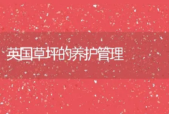 围栏养殖无公害河蟹的技术