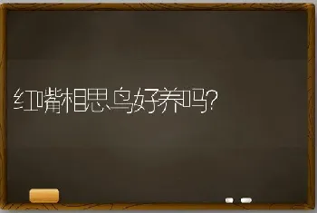 红嘴相思鸟好养吗？