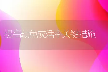 提高幼兔成活率关键措施