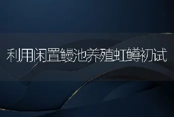 利用闲置鳗池养殖虹鳟初试