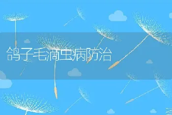 鸽子毛滴虫病防治