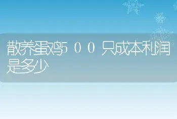 散养蛋鸡500只成本利润是多少