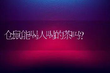 仓鼠能喝人喝的茶吗？