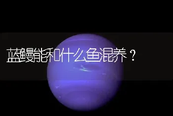 蓝鳗能和什么鱼混养？