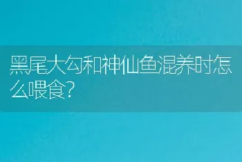 黑尾大勾和神仙鱼混养时怎么喂食？