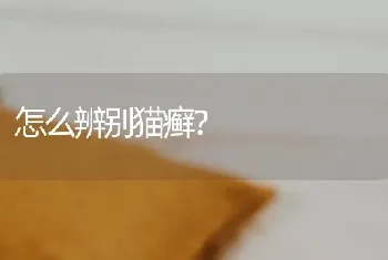 怎么辨别猫癣？