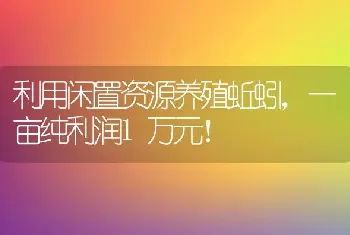 利用闲置资源养殖蚯蚓，一亩纯利润1万元！