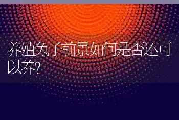 养殖兔子前景如何是否还可以养？