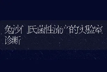 兔沙门氏菌性流产的实验室诊断