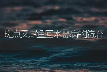 斑点叉尾鱼回水霉病的防治