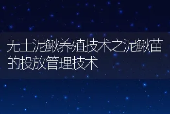 无土泥鳅养殖技术之泥鳅苗的投放管理技术