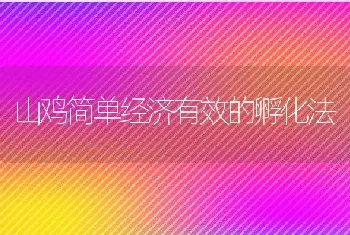 山鸡简单经济有效的孵化法