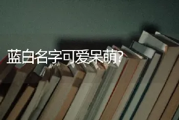 蓝白名字可爱呆萌？