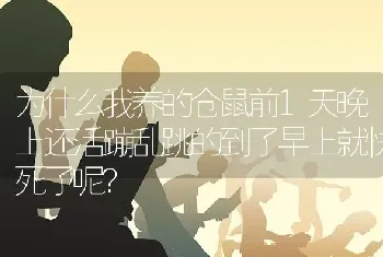 为什么我养的仓鼠前1天晚上还活蹦乱跳的到了早上就快死了呢？