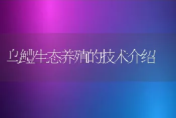 乌鳢生态养殖的技术介绍