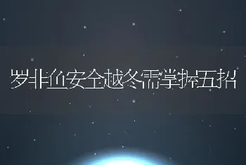 罗非鱼安全越冬需掌握五招