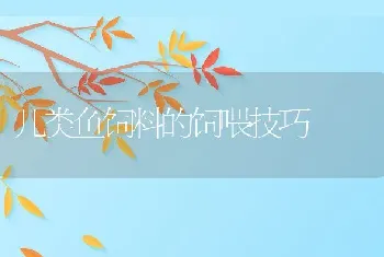 斑点叉尾鮰与罗非鱼混养技术