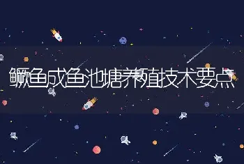 鳜鱼成鱼池塘养殖技术要点