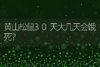 黄山松鼠30天大几天会饿死？