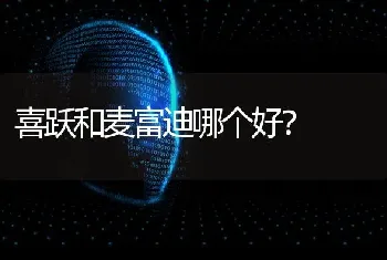 喜跃和麦富迪哪个好？