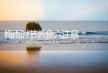 梅雨时节养鱼六注意