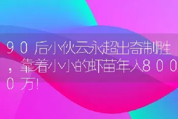 90后小伙云永超出奇制胜，靠着小小的虾苗年入8000万！