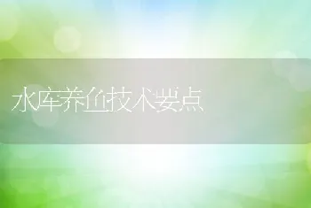 水库养鱼技术要点