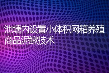 池塘内设置小体积网箱养殖商品泥鳅技术