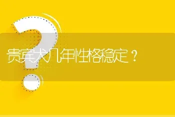 贵宾犬几年性格稳定？