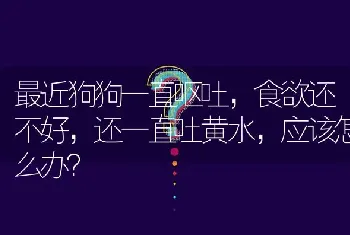 最近狗狗一直呕吐，食欲还不好，还一直吐黄水，应该怎么办？