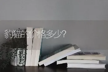 豹猫的价格多少？