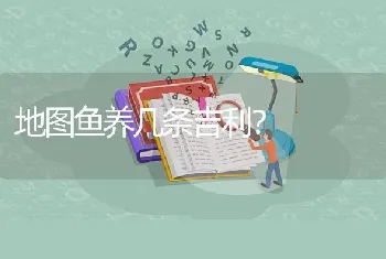 地图鱼养几条吉利？