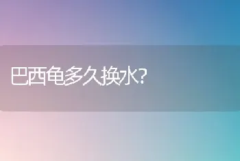 英短蓝猫和英短银渐层配出来是什么颜色的？