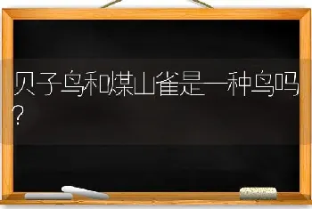 贝子鸟和煤山雀是一种鸟吗？