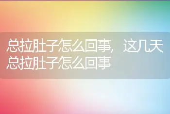 总拉肚子怎么回事，这几天总拉肚子怎么回事