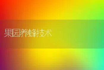 牛蛙的病害防治-红腿病