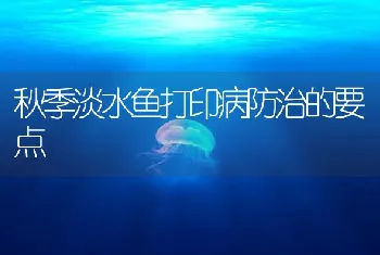 秋季淡水鱼打印病防治的要点