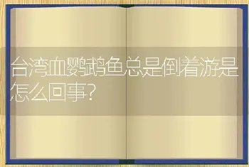 台湾血鹦鹉鱼总是倒着游是怎么回事？