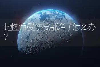 地图鱼受伤皮都烂了怎么办？