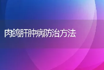 肉鸽肝肿病防治方法